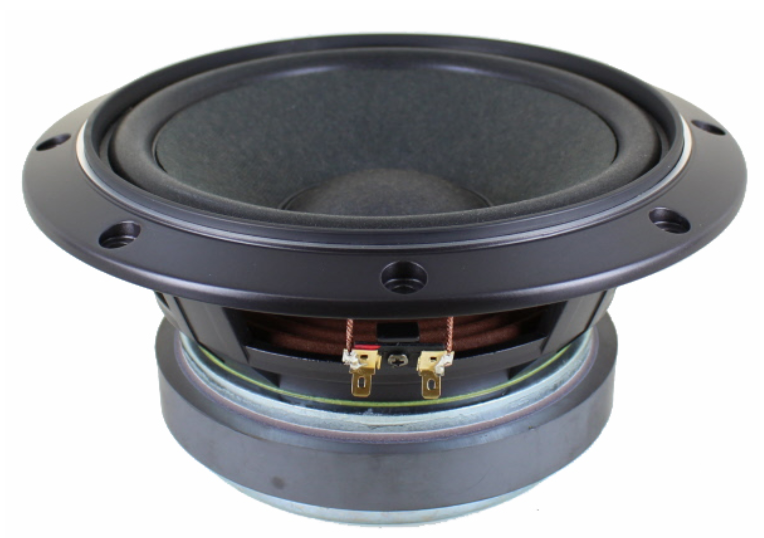 Fostex FW208HS 8 Fostex FW208HS 8
