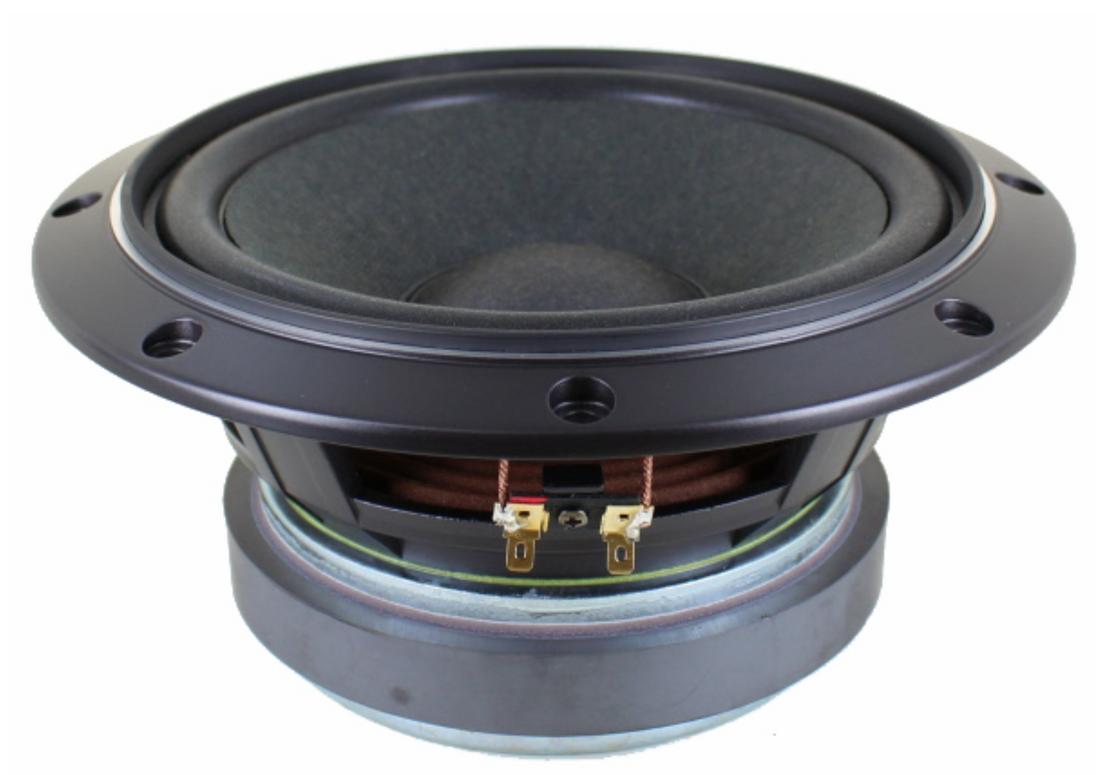 Fostex FW208HS 8"  Woofer