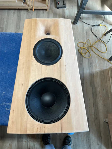 Open Baffle Speaker No.1695