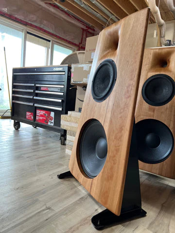 Open Baffle Speaker No.1695