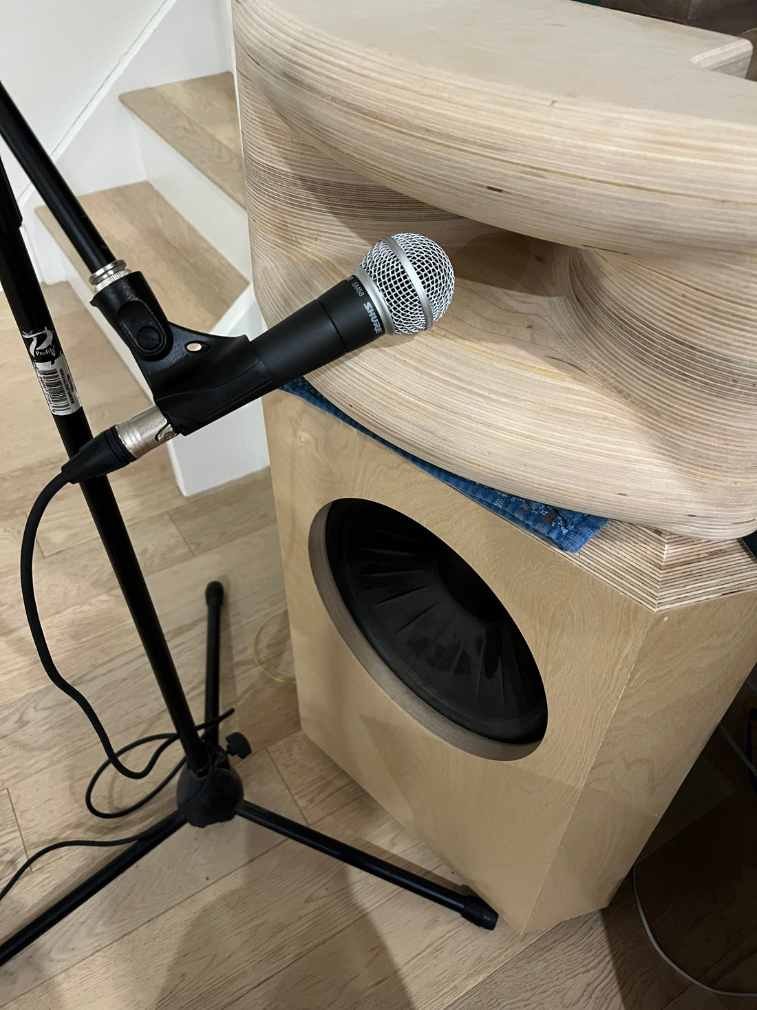 Shure SM58 Dynamic Microphone for Loudspeaker Measurement
